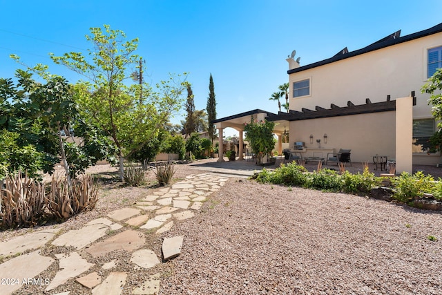 view of yard featuring a patio