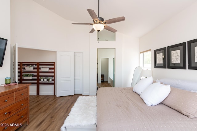 9791 N 118th Way, Scottsdale, AZ 85259 - bedroom featuring high vaulted ceiling, wood finished floors, and ceiling fan