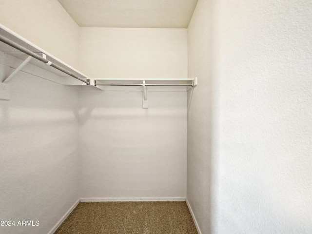 spacious closet with carpet