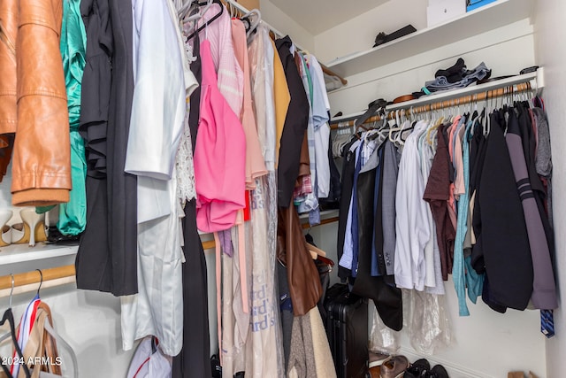 view of walk in closet