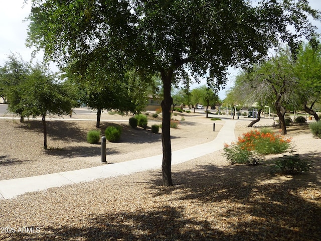 6687 S Banning St, Gilbert, AZ 85298 - view of community