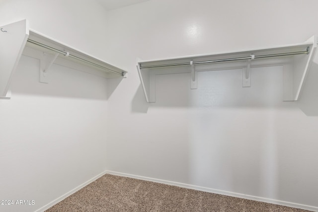 walk in closet featuring carpet floors