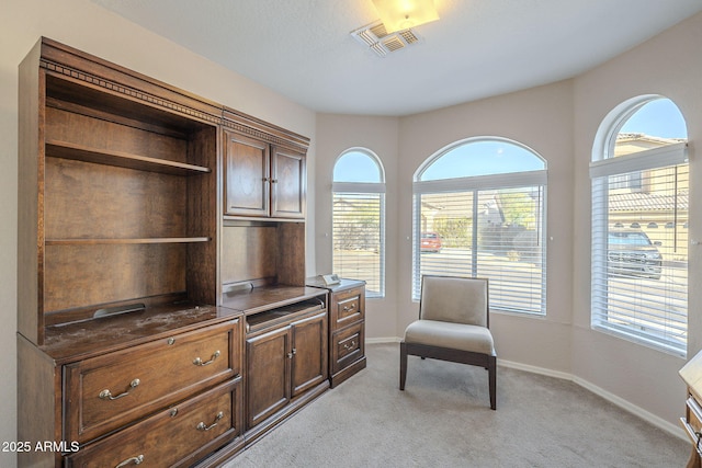 office with baseboards, plenty of natural light, visible vents, and light colored carpet