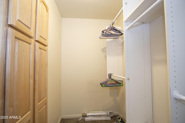 view of walk in closet