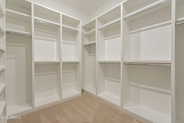 6832 N 178th Ln, Waddell, AZ 85355 - walk in closet with carpet flooring