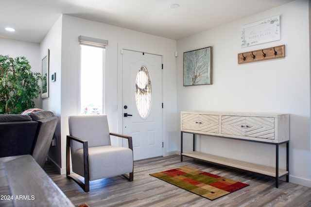 entryway featuring dark hardwood / wood-style floors