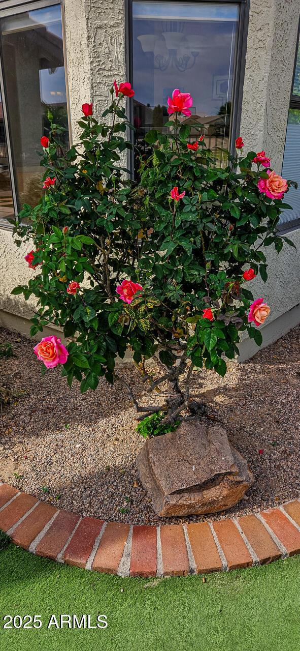 2535 N Pinnule Cir, Mesa, AZ 85215 - view of yard