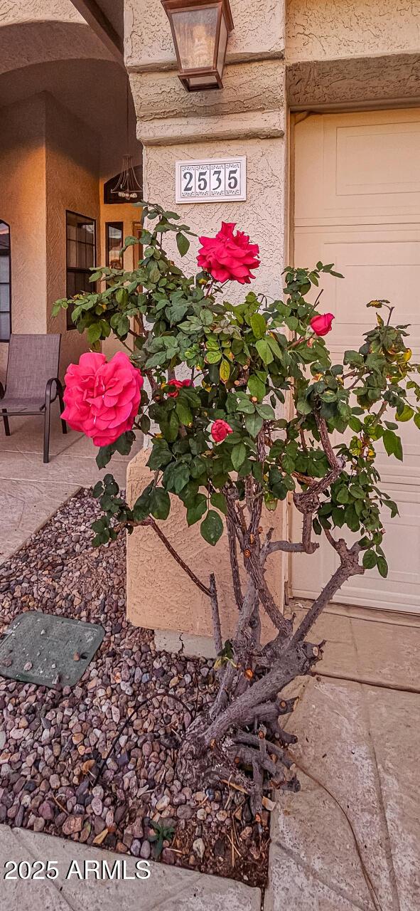 2535 N Pinnule Cir, Mesa, AZ 85215 - view of exterior entry