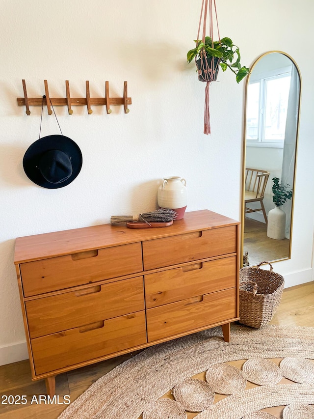 interior space with hardwood / wood-style floors