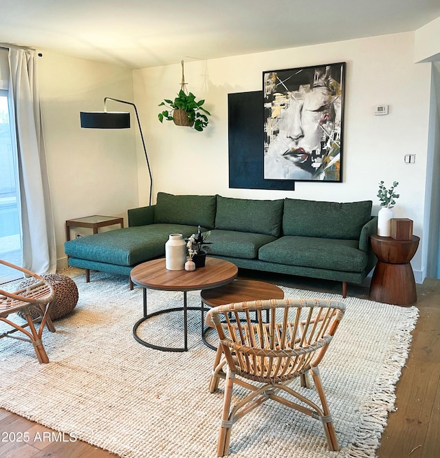 living room featuring wood-type flooring