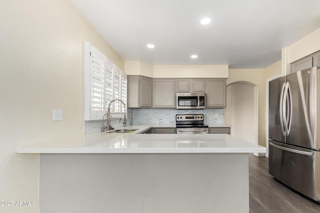 kitchen featuring light countertops, gray cabinets, stainless steel appliances, backsplash, and a sink