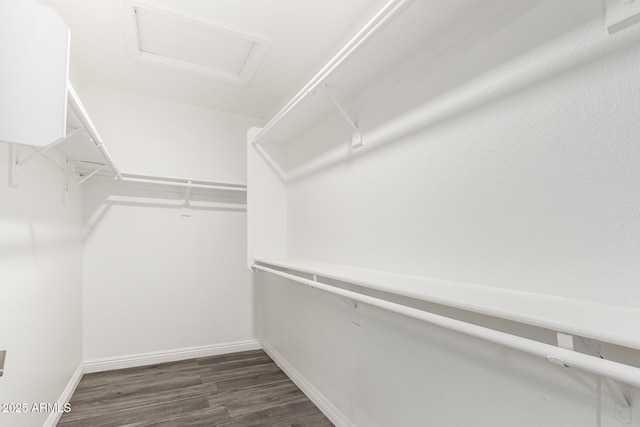 spacious closet featuring attic access and dark wood-style floors