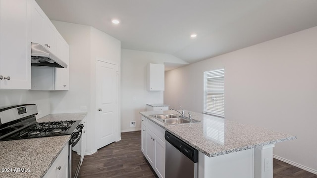 9507 S Mara Dr, Apache Junction, AZ 85120 - kitchen with stainless steel appliances, under cabinet range hood, dark wood-style flooring, vaulted ceiling, and an island with sink