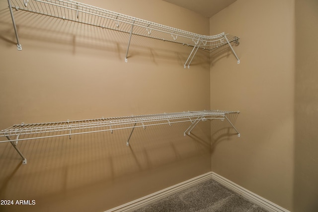 spacious closet with carpet flooring