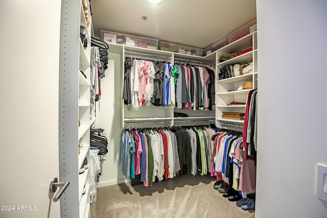 walk in closet with carpet flooring