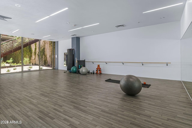 workout area featuring a wall of windows and dark hardwood / wood-style floors