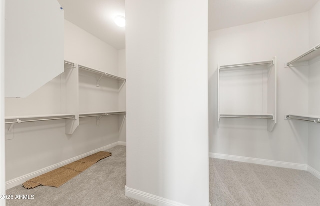 18716 N 269th Ln, Buckeye, AZ 85396 - spacious closet featuring carpet