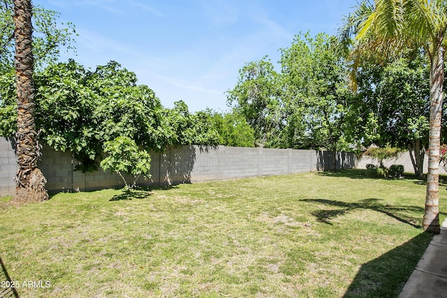 430 N Vineyard, Mesa, AZ 85201 - view of yard featuring a fenced backyard