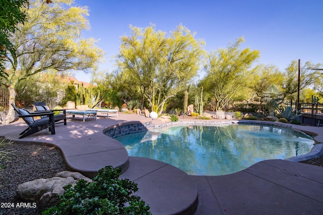 view of pool featuring a patio