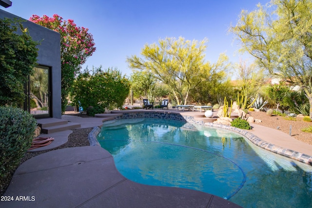 view of pool featuring a patio area