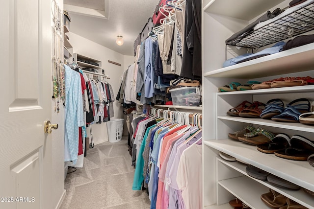 spacious closet featuring light colored carpet