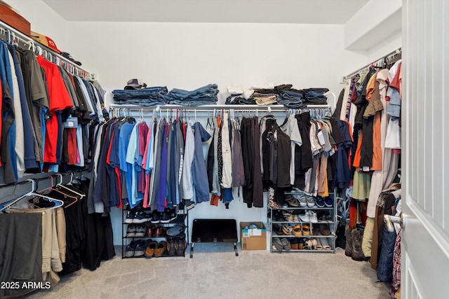 1135 E Barrus Dr, Casa Grande, AZ 85122 - walk in closet with carpet