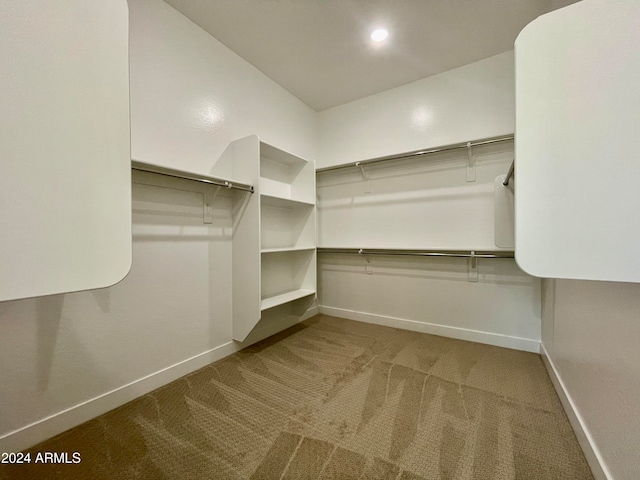 walk in closet with carpet flooring