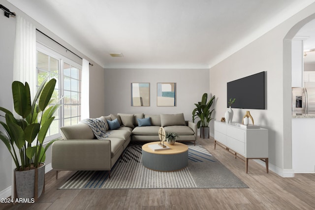 living room featuring light hardwood / wood-style flooring