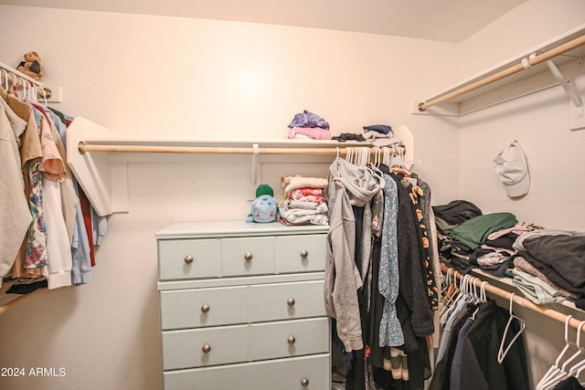 view of spacious closet