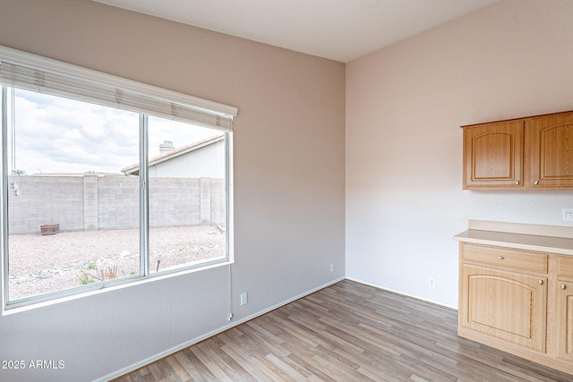 interior space with baseboards, plenty of natural light, and light wood-style floors