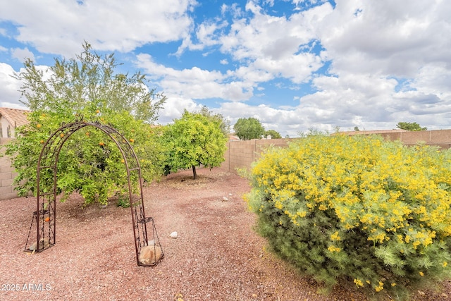 view of yard featuring a fenced backyard