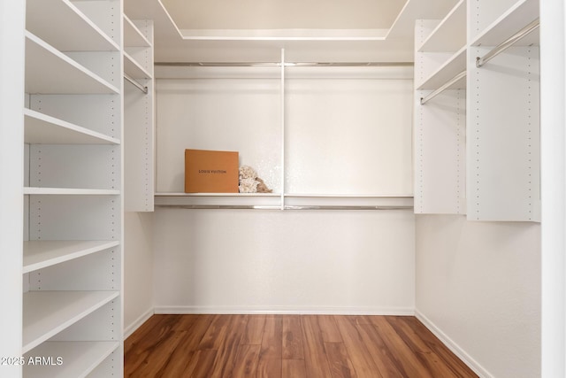 walk in closet with wood finished floors