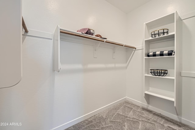 spacious closet featuring light carpet