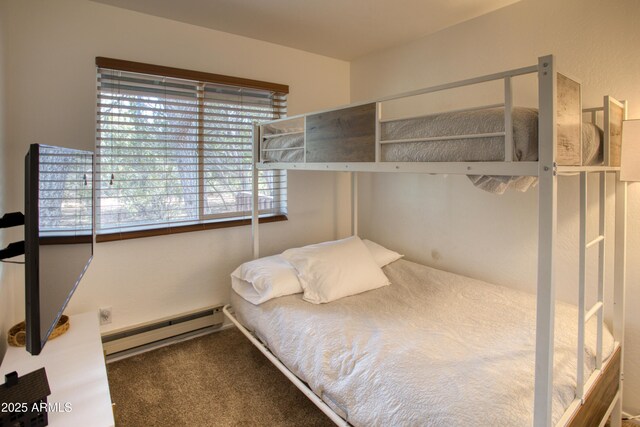 2273 Trail Cir, Overgaard, AZ 85933 - bedroom featuring a baseboard heating unit and carpet