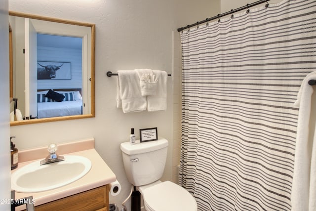2273 Trail Cir, Overgaard, AZ 85933 - bathroom featuring vanity, toilet, and curtained shower