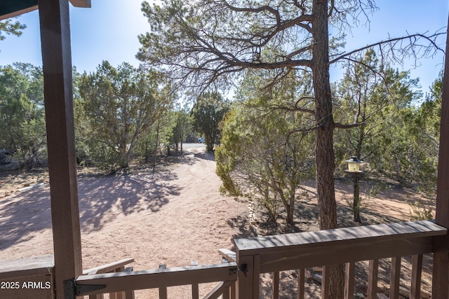 2273 Trail Cir, Overgaard, AZ 85933 - view of yard