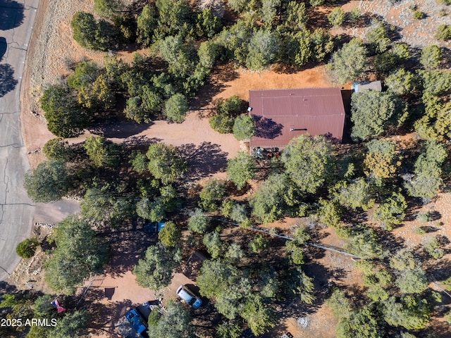2273 Trail Cir, Overgaard, AZ 85933 - aerial view of property's location