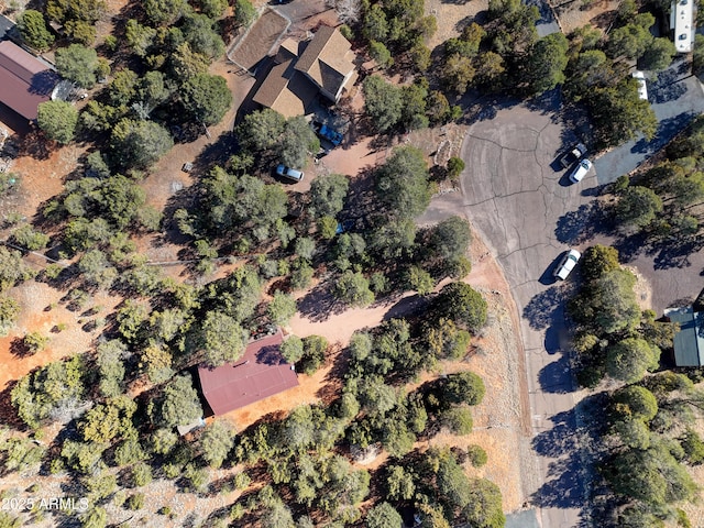 2273 Trail Cir, Overgaard, AZ 85933 - aerial overview of property's location