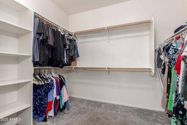 walk in closet with carpet flooring