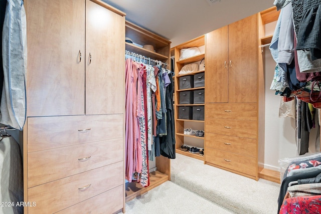 walk in closet with carpet flooring