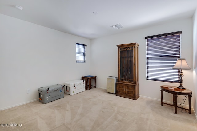 miscellaneous room featuring light carpet