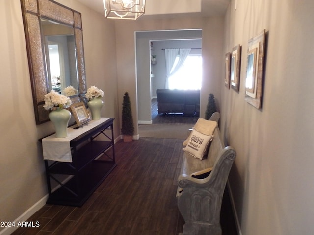 hall with an inviting chandelier and dark hardwood / wood-style flooring