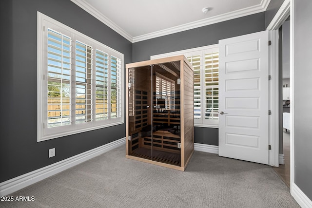 wine area featuring baseboards, carpet floors, and ornamental molding
