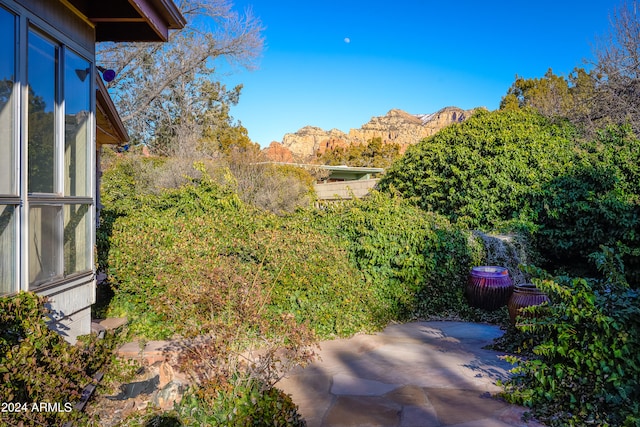 view of yard with a patio area and a mountain view