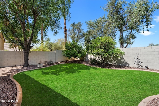 420 S Dodge Dr, Chandler, AZ 85225 - view of yard