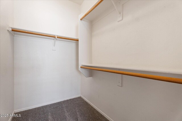 40614 N Key Ln, Anthem, AZ 85086 - spacious closet featuring dark colored carpet