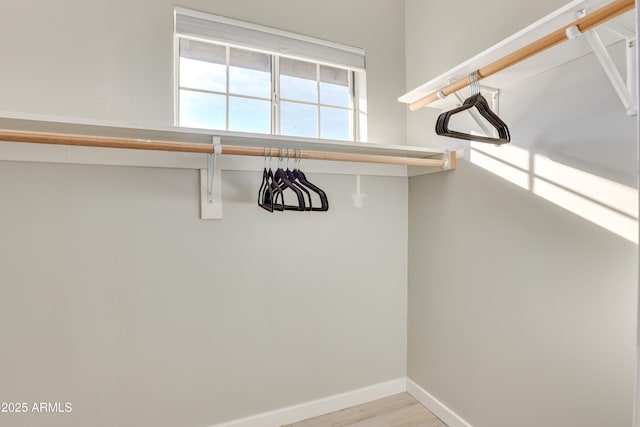 spacious closet featuring light hardwood / wood-style flooring