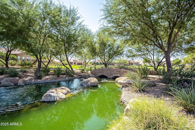 view of home's community featuring a garden pond