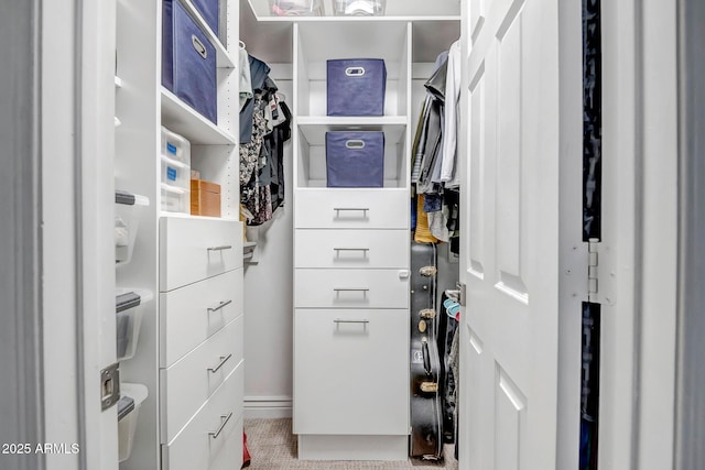 view of spacious closet