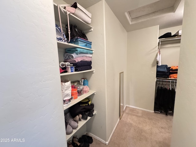 spacious closet with light colored carpet